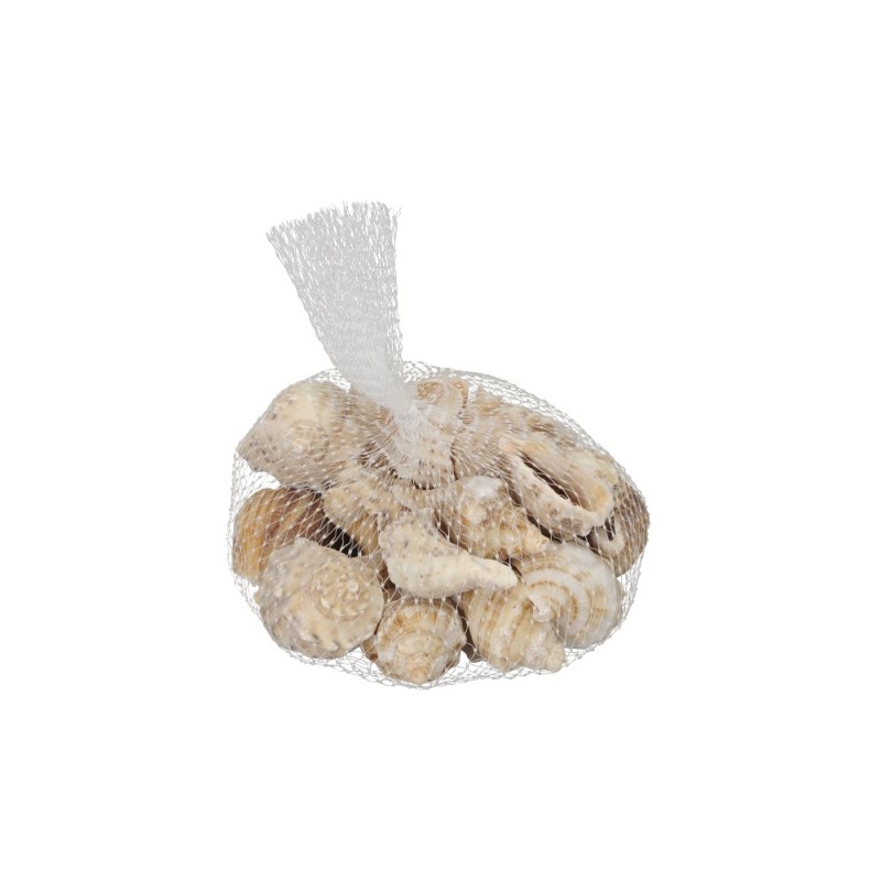 300gr. de Coquillages de décoration. 300gr. de Coquillages de décoration.