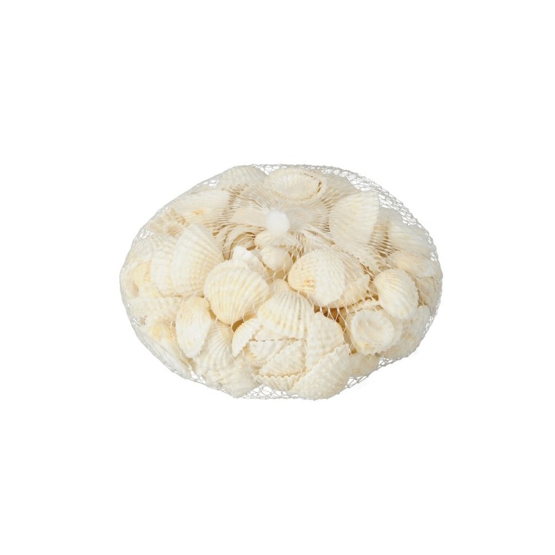 310gr. de Coquillages de décoration. 310gr. de Coquillages de décoration.