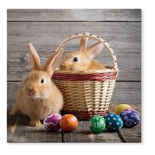 20 Serviettes papier 33x33xcm lapin