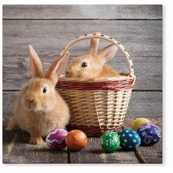 20 Serviettes papier 33x33xcm lapin