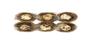 Nest m.Wachtelei Set/6 5cm