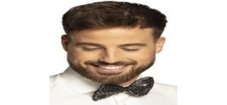 1 Fliege mit Pailletten, 3 cm x 13 cm