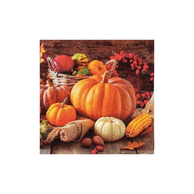 Serviettes 33 x 33 cm citrouilles Serviettes 33 x 33 cm citrouilles