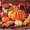 Serviettes 33 x 33 cm citrouilles Serviettes 33 x 33 cm citrouilles