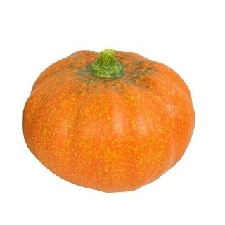 Zucca 14x14x12 cm ceramica verde scuro/arancione