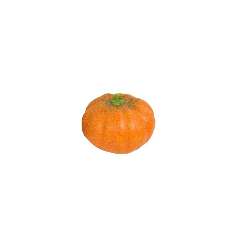 1 Citrouille céramique14x14x12cm céramique vert foncé ou orange 1 Citrouille céramique14x14x12cm céramique vert foncé ou orange