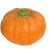 1 Citrouille céramique14x14x12cm céramique vert foncé ou orange 1 Citrouille céramique14x14x12cm céramique vert foncé ou orange