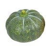 Zucca 14x14x12 cm ceramica verde scuro/arancione