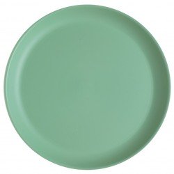 1Assiette grande, Ø 27,4cm, Thermorétracté, vert