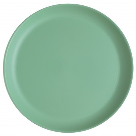 1Assiette grande, Ø 27,4cm, Thermorétracté, vert