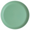 1Assiette grande, Ø 27,4cm, Thermorétracté, vert 1Assiette grande, Ø 27,4cm, Thermorétracté, vert