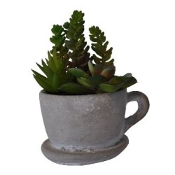 1 Cactus dans une tasse en béton, 14x11x16cm
