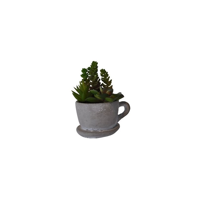 1 Cactus dans une tasse en béton, 14x11x16cm