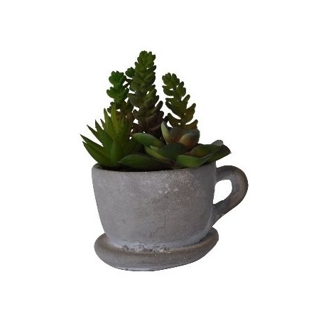 1 Cactus dans une tasse en béton, 14x11x16cm