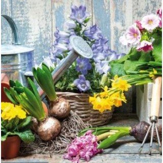 20 Serviettes papier 33x33xcm fleurs de printemps