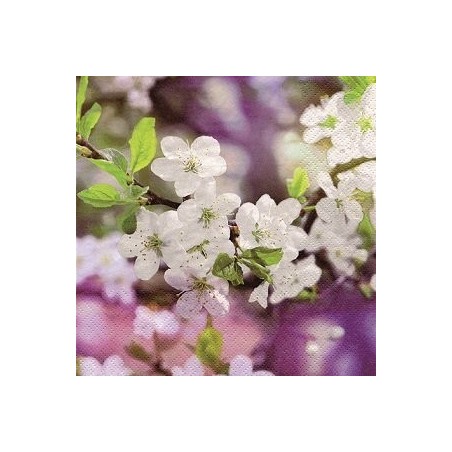 20 Serviettes papier 24x24cm Fleurs de cerisiers