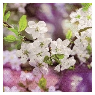 20 Serviettes papier 33x33xcm fleurs de pommier