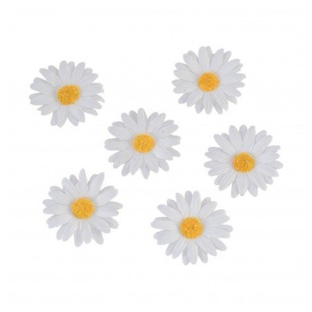 6 Margeriten blanchiert à disperser Ø 4,5cm
