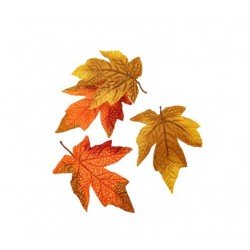 Sachet de 12 feuilles erable 14x10cm