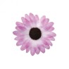 24 marguerites à disperser Ø 5cm, parme