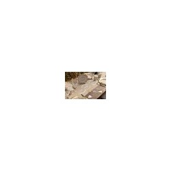 Chemin de table "Just Maried" 28cm x 3m 