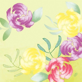 50 tovaglioli classici, Soft Tropics, 4plis, 40x40cm