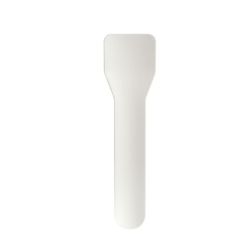 100 Cuillères à glace 9,5 cm Blanc 100 Cuillères à glace 9,5 cm Blanc