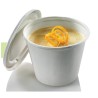 Eventail citrouille Eventail citrouille