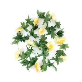 Guirlande,  PIVOINE