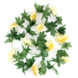 Guirlande,  PIVOINE
