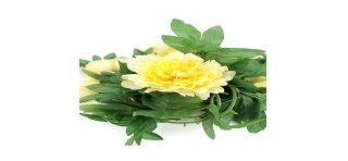 Pfingstrosengirlande