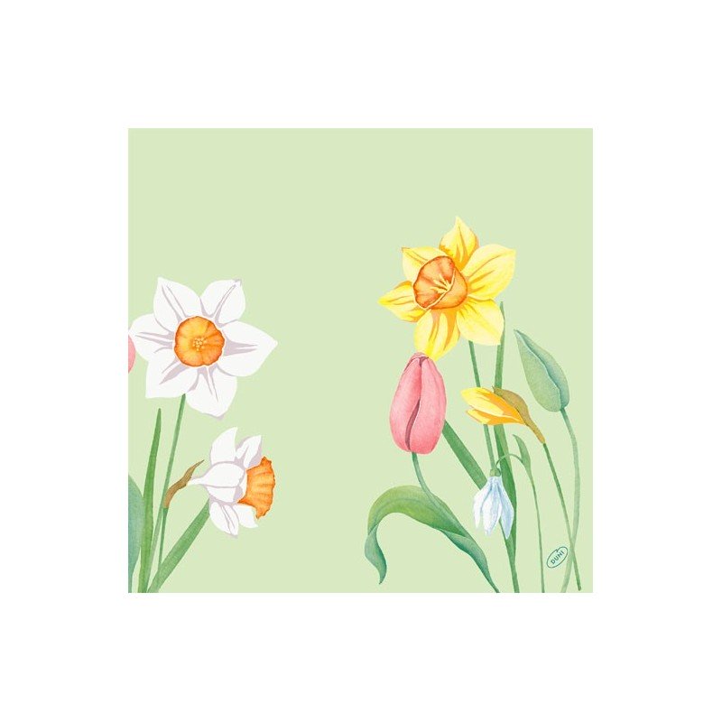 Serviette Duni ouate 40 x 40 cm Spring Melody