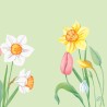 Serviette Duni ouate 40 x 40 cm Spring Melody Serviette Duni ouate 40 x 40 cm Spring Melody