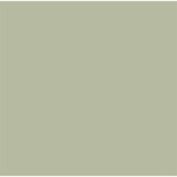 60 Serviettes Bio Dunisoft® 40 x 40 cm Vert pistache