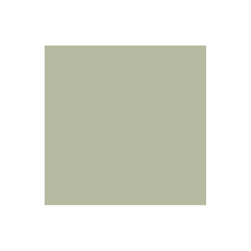 60 Dunisoft® Bio-Servietten 40 x 40 cm Pistaziengrün