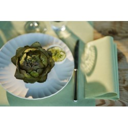 60 Serviettes Bio Dunisoft® 40 x 40 cm Vert pistache