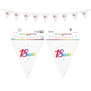 1 Wimpelgirlande "18ans" mehrfarbig