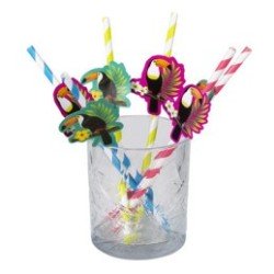 6er-Set Tukan-Papierstrohhalme, 20 cm
