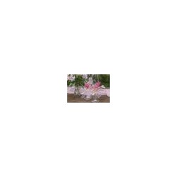 Nastro di tulle bianco 100mmx20m