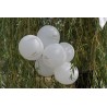 6 palloncini per la comunione con sfondo bianco e stampa oro 6 palloncini per la comunione con sfondo bianco e stampa oro