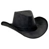 Chapeau de cow-boy noir  Chapeau de cow-boy noir