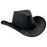 Chapeau de cow-boy noir 