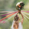 Jeu des rubans mariage Jeu des rubans mariage