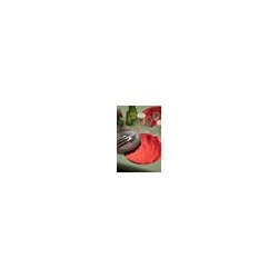 6 Sets de table brillant rouge diam. 34cm