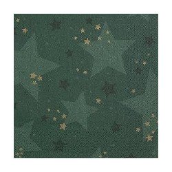 20 tovaglioli 33x33cm stella verde