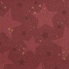 20 tovaglioli 33x33cm stella rossa