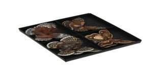 Lot de 8 papillons à clipser, 8 cm marron Plumes