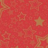 12 Dunisoft Bio-Servietten 40x40cm Holiday Star Red