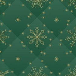 60 Serviettes Bio Dunisoft 40x40 cm Rhombus Green