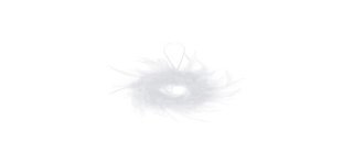Couronne en plumes, plume, 10 cm, blanc, sachet de 1 pièce